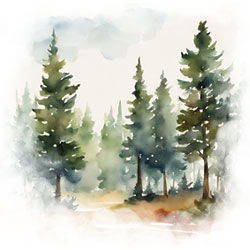 Community Trees